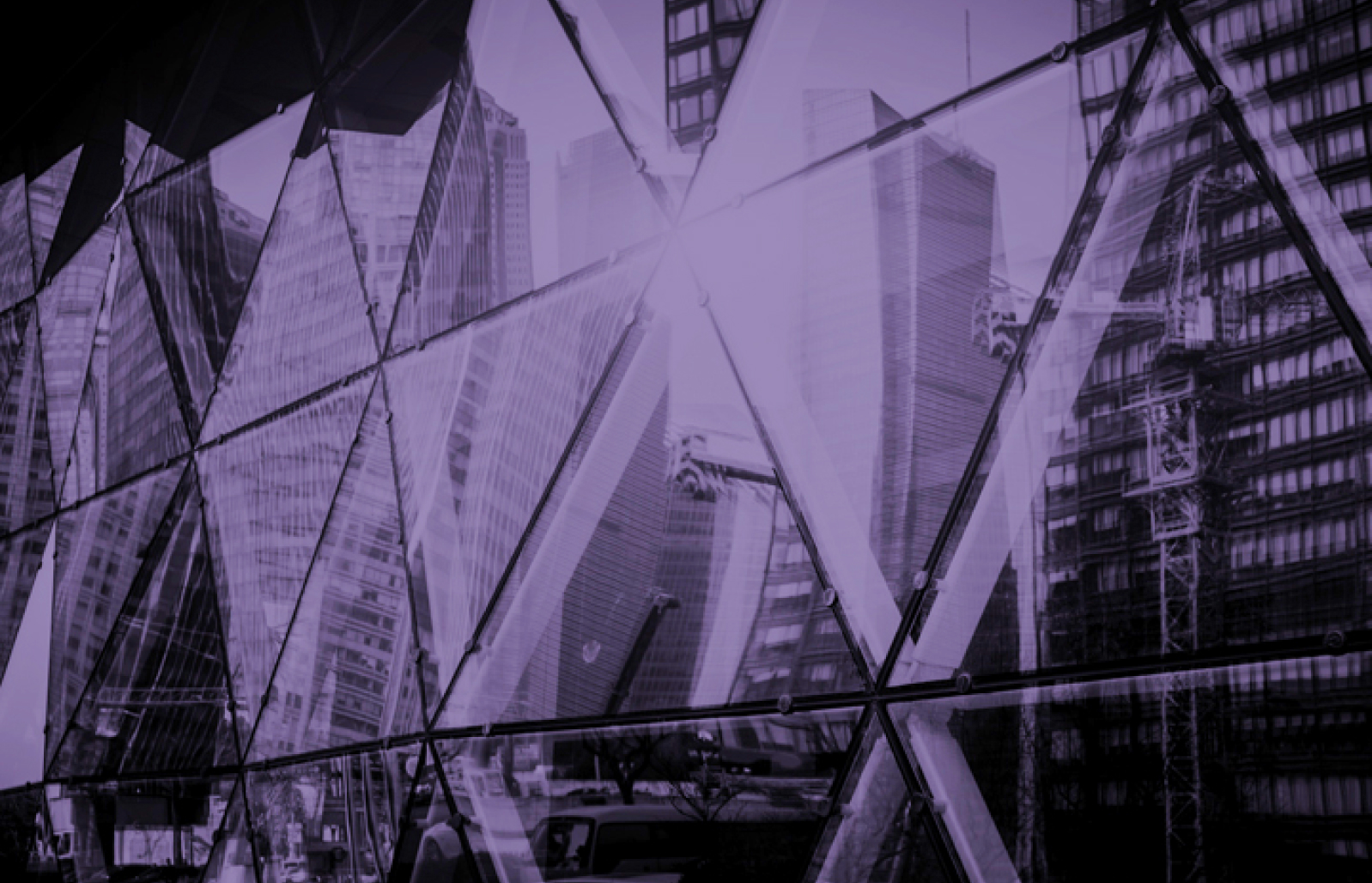 Reasons for your choise